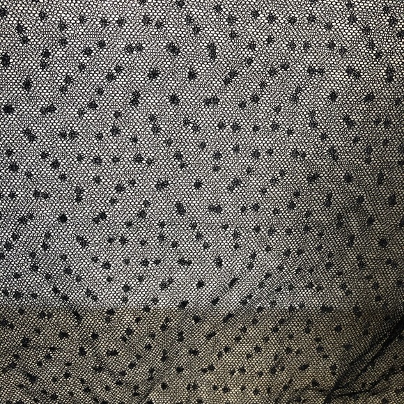 Shear Polka Dot Long Sleeved Top - Picture 2 of 2